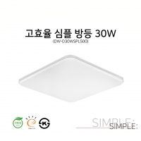 DW-D30WSPL500