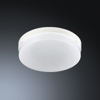 LED ϸ Ȯ ε