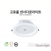 DW-D12W60SG